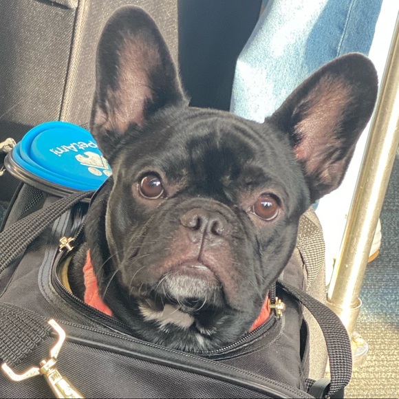 Meet your Posher, Myha - Picture 1 of 1